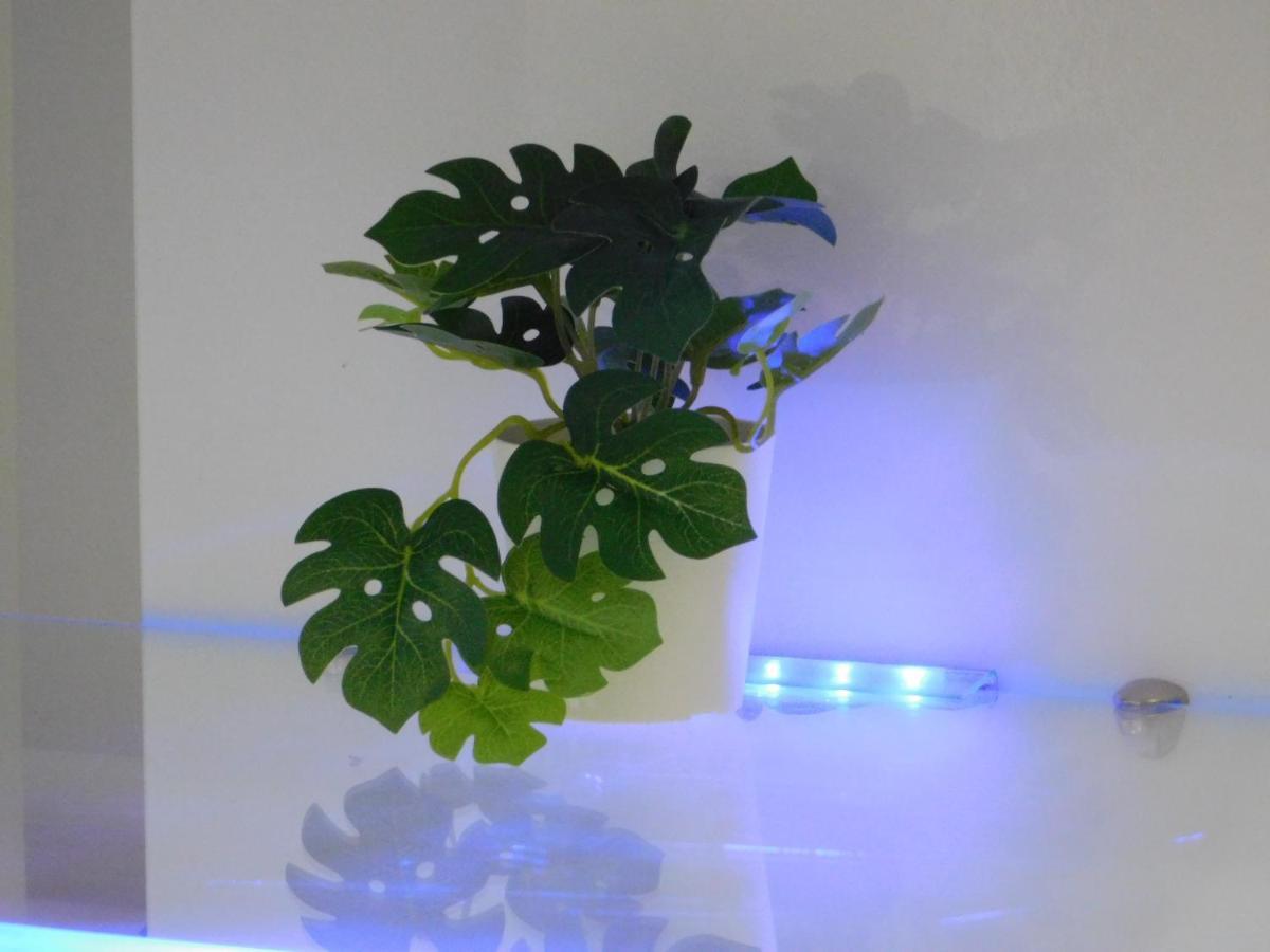 Apartments Mateo 萨格勒布 外观 照片