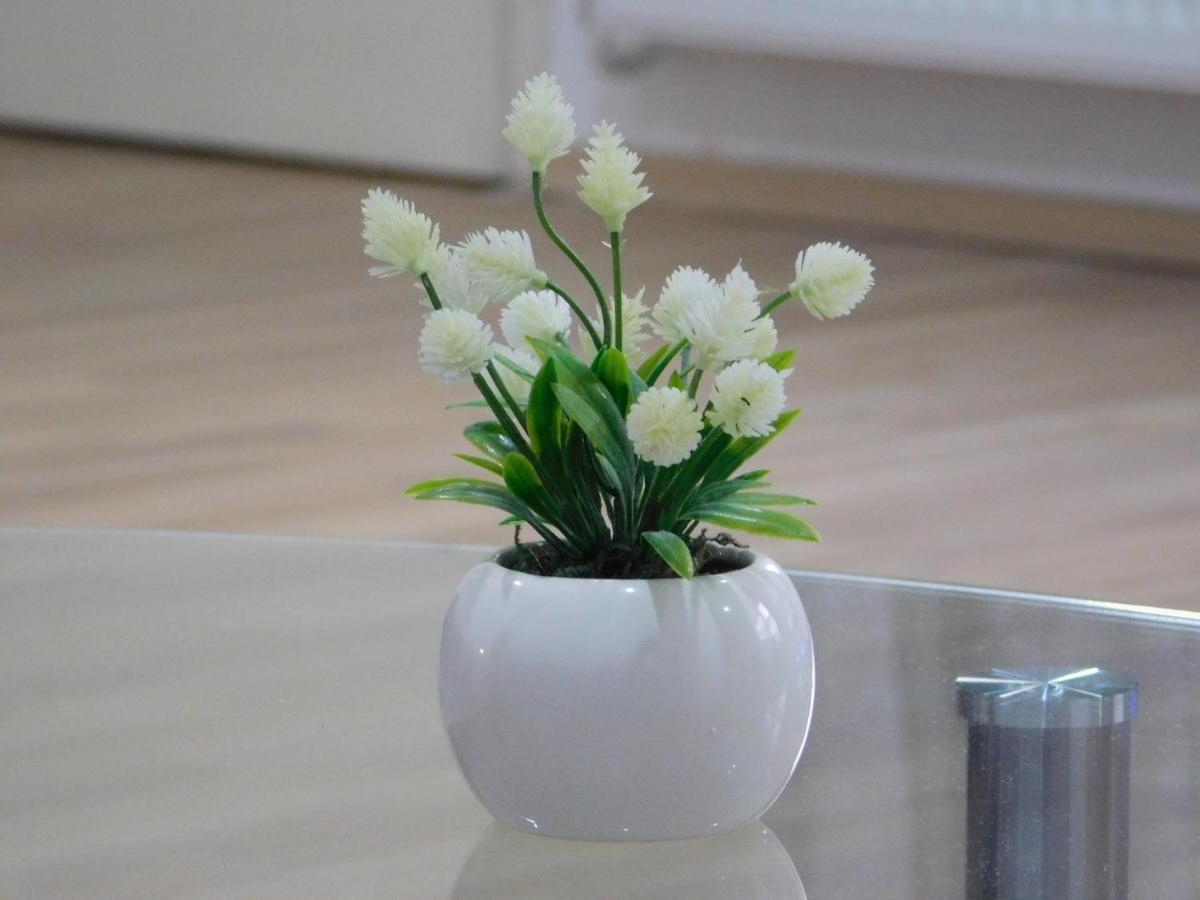 Apartments Mateo 萨格勒布 外观 照片